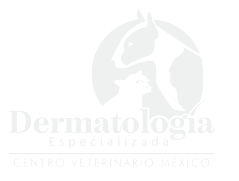logo centro veterinario México